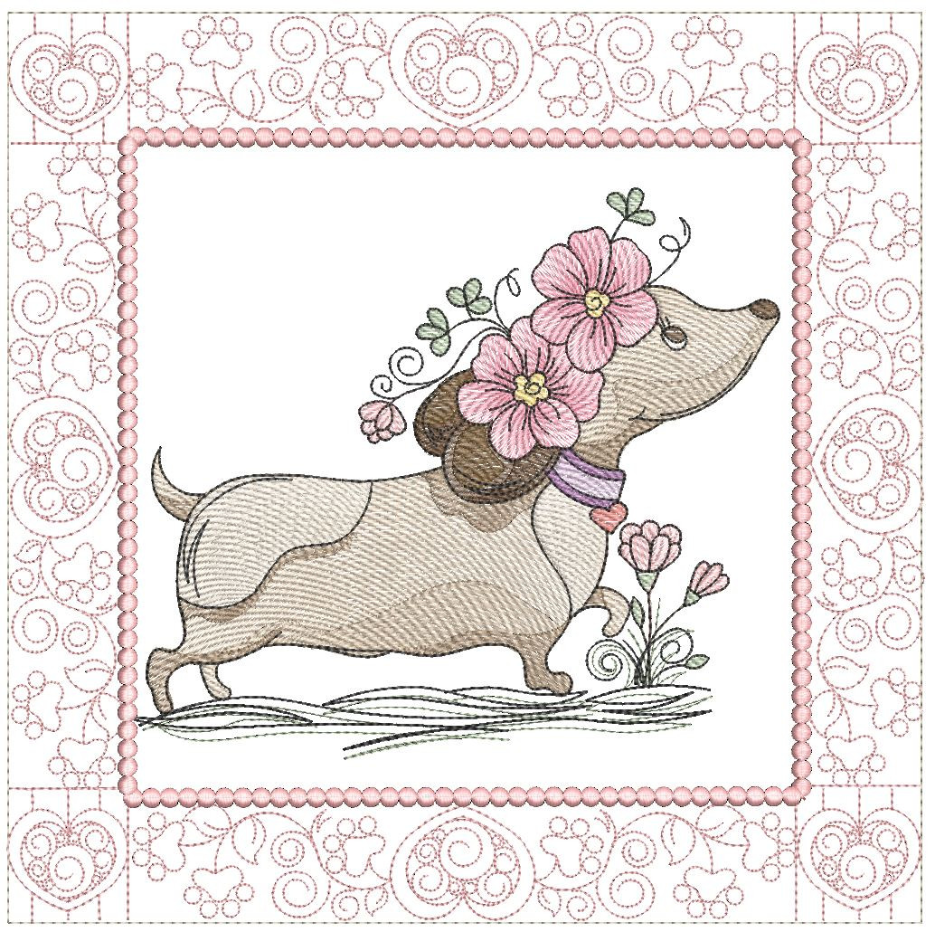 Dachshund2qb__50030.1773760183