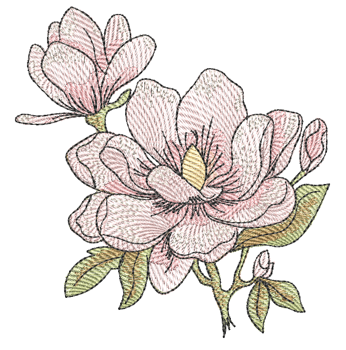 Magnolias__71899.1725105625
