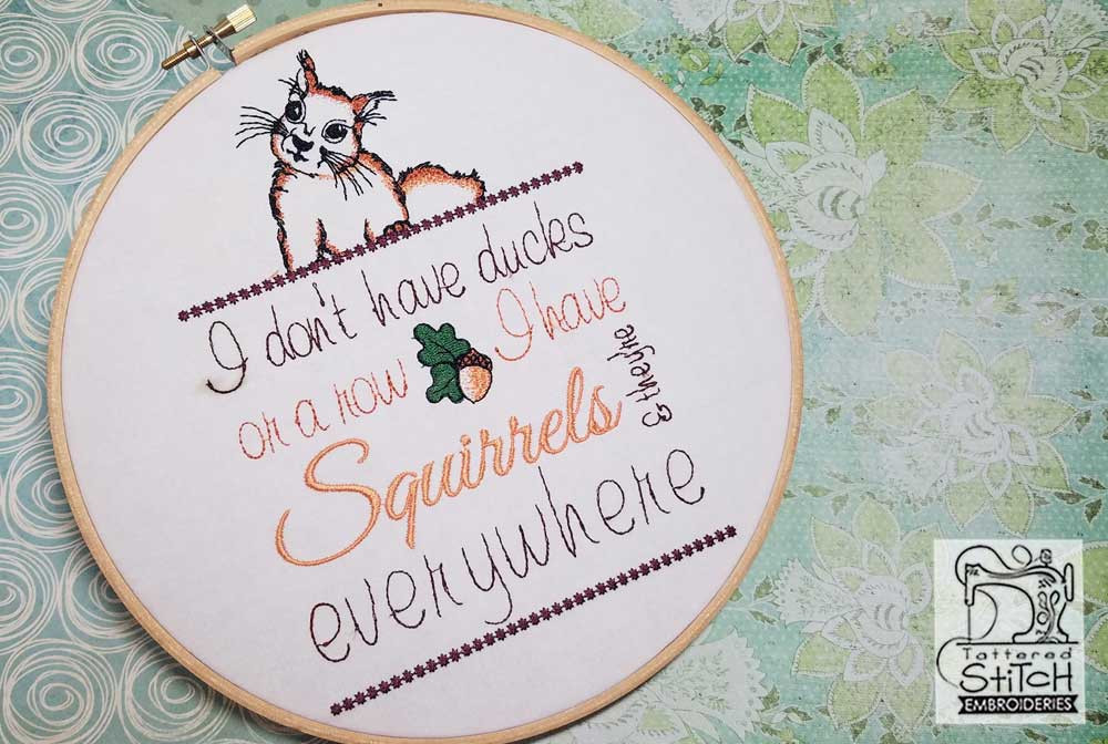 Squirrel__18459.1556306025