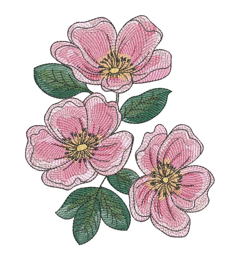 dakota-flower-image__23943.1730392725